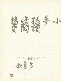 杨峰孙梦小说免费阅读