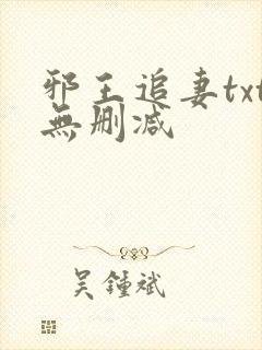 邪王追妻txt无删减