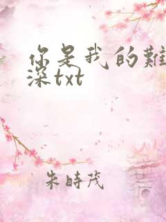 你是我的难得情深txt