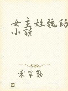 女主姓魏的古言小说