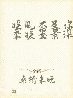 暖风不及你情深季暖墨景深免费全文阅读