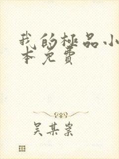 我的极品小姨全本免费