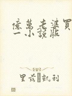 亿万老婆买一送一小说版