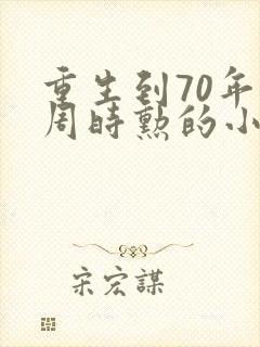 重生到70年代周时勋的小说