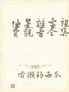 他是谁电视剧免费观看全集高清