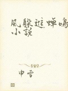 风躲进蝉鸣原著小说