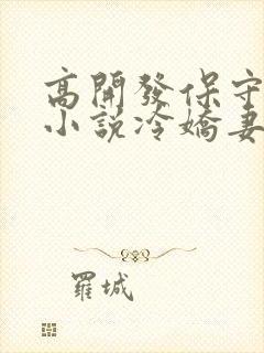 高开发保守妻子小说冷娇妻小说