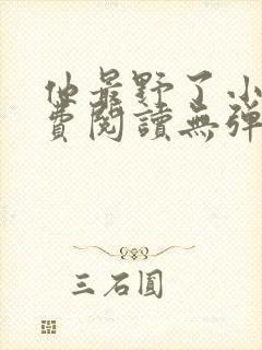 他最野了小说免费阅读无弹窗