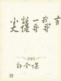 小说一我有七个大佬哥哥