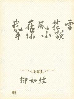我在风花雪月里等你 小说