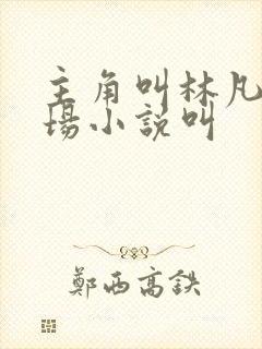 主角叫林凡的官场小说叫