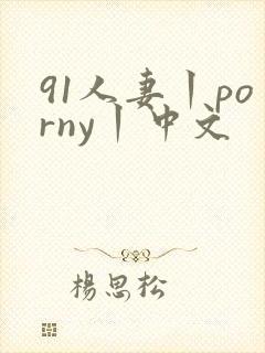 91人妻丨porny丨中文