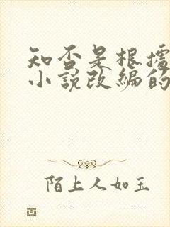 知否是根据什么小说改编的