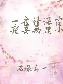一夜情深霍先生宠妻无度小说