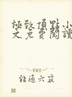 极致顶点小说全文免费阅读最新章节