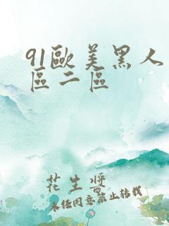 91欧美黑人一区二区