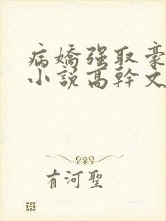 病娇强取豪夺的小说高干文