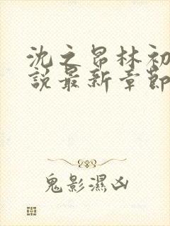 沈之昂林初窈小说最新章节免费阅读