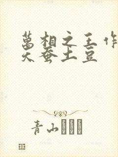 万相之王作者:天蚕土豆