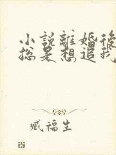 小说离婚后前夫总是想追我免费看