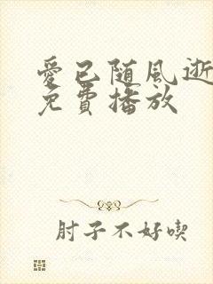 爱已随风逝短剧免费播放