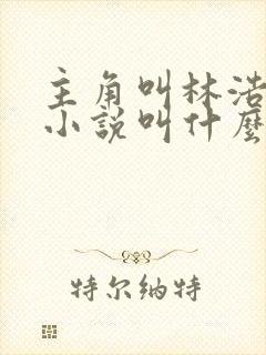 主角叫林浩然的小说叫什么