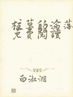 校草的沦落小说免费阅读