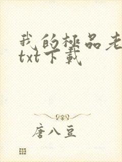 我的极品老婆 txt下载