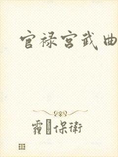 官禄宫武曲贪狼