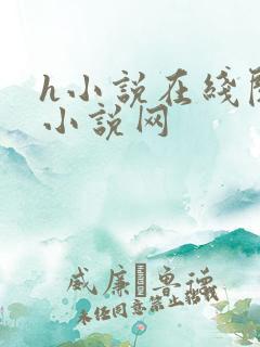 h小说在线阅读小说网