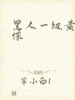 黑人一级黄色录像