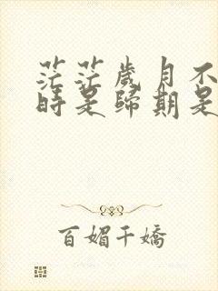 茫茫岁月不知何时是归期是什么歌