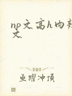 np文高h肉辣文