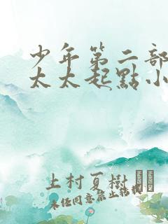 少年第二部房东太太起点小说