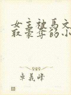 女主被马文才强取豪夺的小说