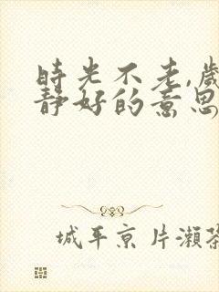 时光不老,岁月静好的意思