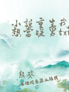 小说重生我真没想当暖男txt