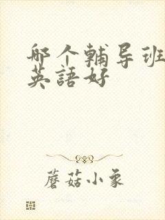 哪个辅导班教的英语好