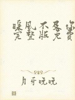 暖风不及你情深完整版免费阅读全文