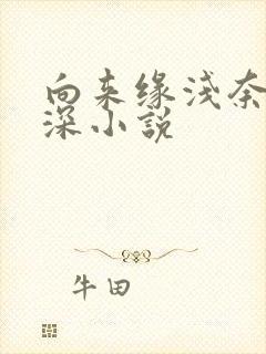 向来缘浅奈何情深小说