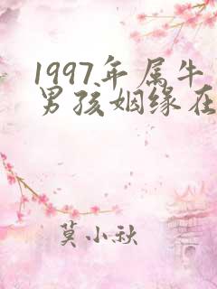 1997年属牛男孩姻缘在哪年