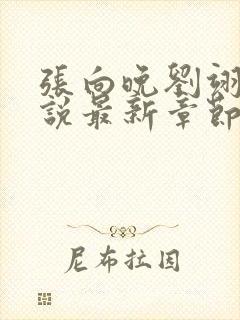 张向晚刘翊京小说最新章节更新时间