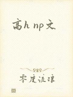 高h np文