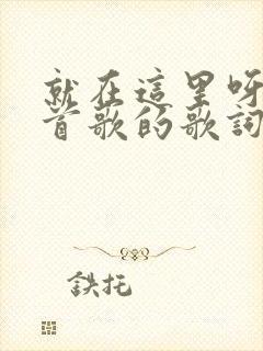 就在这里呀是哪首歌的歌词