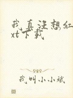 我真没想红啊txt下载