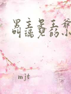 男主是王爷女主叫璃儿的小说