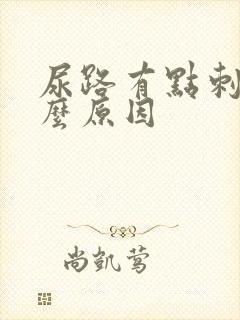 尿路有点刺痛什么原因