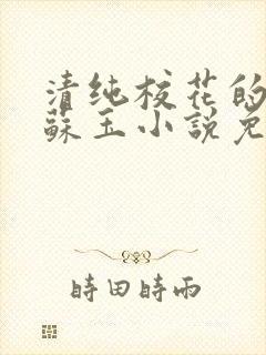 清纯校花的日常苏玉小说免费阅读最