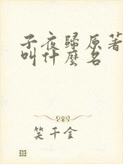 子夜归原著小说叫什么名