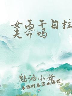 女丙午日柱是双夫命吗